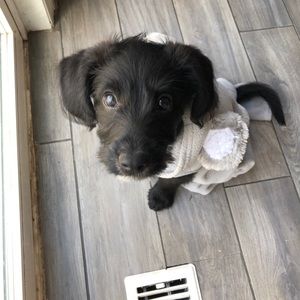 Meet your Posher, Celine